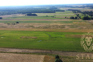 Działka na sprzedaż 14500m2 stargardzki Dobrzany Biała - zdjęcie 1