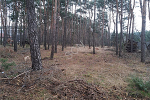 Działka na sprzedaż 2732m2 otwocki Józefów - zdjęcie 1