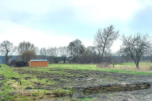 Działka na sprzedaż 1000m2 otwocki Wiązowna Duchnów - zdjęcie 2