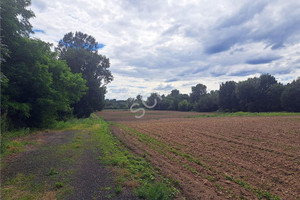 Działka na sprzedaż 1000m2 legionowski Jabłonna Rajszew - zdjęcie 2