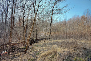 Działka na sprzedaż 17644m2 miński Halinów Okuniew - zdjęcie 2