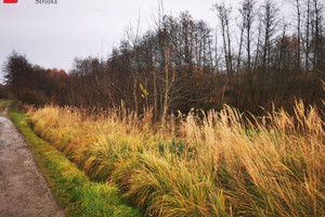 Działka na sprzedaż 12800m2 wielicki Wieliczka Sułków - zdjęcie 2