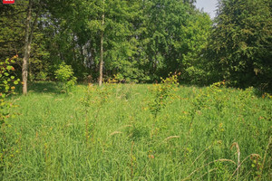 Działka na sprzedaż 1287m2 wielicki Wieliczka Grabówki - zdjęcie 1