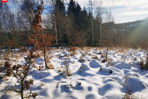 Działka na sprzedaż 2850m2 wielicki Biskupice Sułów - zdjęcie 2