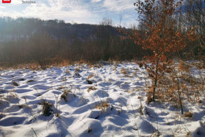 Działka na sprzedaż 2850m2 wielicki Biskupice Sułów - zdjęcie 3