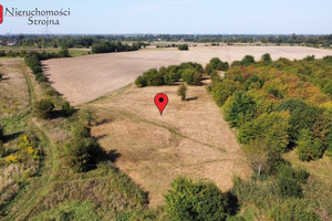 Działka na sprzedaż 3900m2 wielicki Wieliczka Węgrzce Wielkie - zdjęcie 3