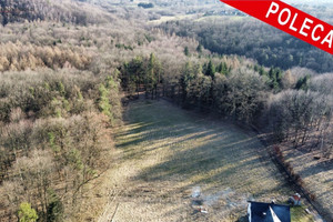 Działka na sprzedaż 2434m2 wielicki Wieliczka Raciborsko - zdjęcie 1