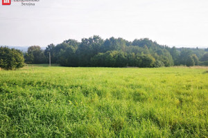 Działka na sprzedaż 5900m2 wielicki Wieliczka Byszyce - zdjęcie 3