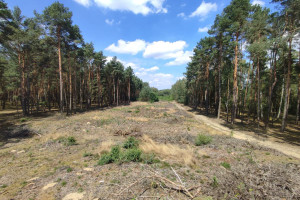 Działka na sprzedaż 3300m2 zgierski Zgierz Słowik Brzozowa - zdjęcie 1