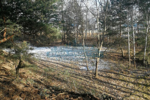 Działka na sprzedaż 8000m2 nowodworski Czosnów Izabelin-Dziekanówek - zdjęcie 1