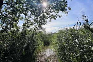 Działka na sprzedaż 10300m2 giżycki Kruklanki - zdjęcie 3