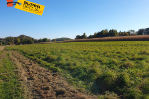 Działka na sprzedaż 9593m2 krakowski Jerzmanowice-Przeginia Jerzmanowice - zdjęcie 2