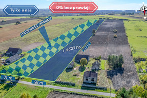 Działka na sprzedaż 14520m2 częstochowski Janów Pabianice - zdjęcie 1