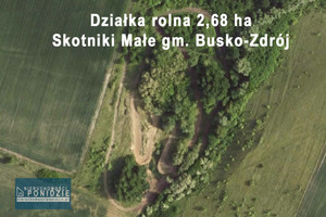 Działka na sprzedaż 26843m2 buski Busko-Zdrój Skotniki Małe - zdjęcie 2