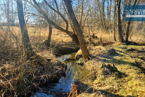 Działka na sprzedaż 2769m2 buski Solec-Zdrój - zdjęcie 1