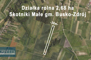 Działka na sprzedaż 26843m2 buski Busko-Zdrój Skotniki Małe - zdjęcie 1