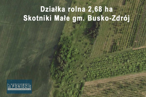 Działka na sprzedaż 26843m2 buski Busko-Zdrój Skotniki Małe - zdjęcie 3