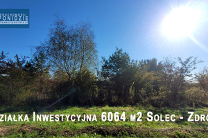 Działka na sprzedaż 6064m2 buski Solec-Zdrój - zdjęcie 1