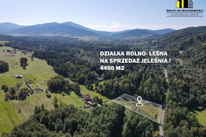 Działka na sprzedaż 4450m2 żywiecki Jeleśnia - zdjęcie 1