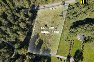 Działka na sprzedaż 4450m2 żywiecki Jeleśnia - zdjęcie 2