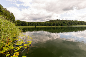 Działka na sprzedaż 9259m2 kętrzyński Reszel Pasterzewo - zdjęcie 1