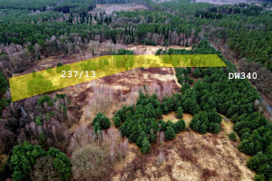 Działka na sprzedaż 15954m2 trzebnicki Oborniki Śląskie Rościsławice Wołowska - zdjęcie 1