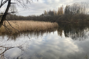 Działka na sprzedaż 23104m2 zawierciański Łazy Partyzantów - zdjęcie 1