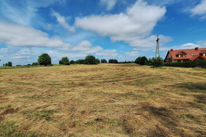 Działka na sprzedaż 3002m2 piski Ruciane-Nida Wólka - zdjęcie 2