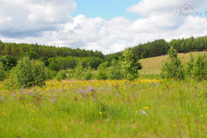 Działka na sprzedaż 27788m2 kartuski Żukowo Łapino Kartuskie - zdjęcie 2