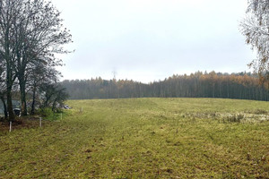 Działka na sprzedaż 7296m2 gdański Trąbki Wielkie Ełganowo Leśna - zdjęcie 3