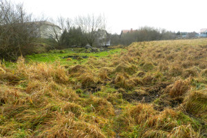 Działka na sprzedaż 706m2 kartuski Żukowo Spokojna - zdjęcie 2