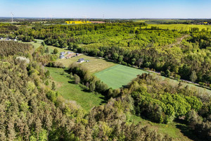 Działka na sprzedaż 3000m2 wejherowski Gniewino Tadzino - zdjęcie 2