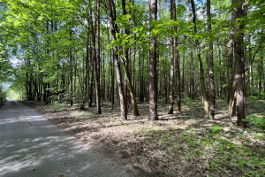 Działka na sprzedaż 2000m2 grodziski Żabia Wola Grzymek Śródleśna - zdjęcie 1