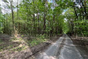 Działka na sprzedaż 2000m2 grodziski Żabia Wola Grzymek Śródleśna - zdjęcie 3