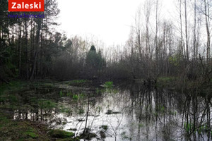 Działka na sprzedaż gdański Przywidz Pomlewo Jodłowa - zdjęcie 3