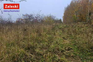 Działka na sprzedaż 5870m2 gdański Pruszcz Gdański Jagatowo Jastrzebia - zdjęcie 3