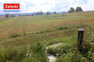 Działka na sprzedaż 10000m2 kartuski Przodkowo Szarłata Sianowska - zdjęcie 3