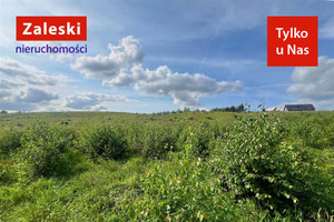 Działka na sprzedaż 12939m2 kartuski Kartuzy Brodnica Górna, miejscowość MAKS, obręb Przewóz - zdjęcie 1