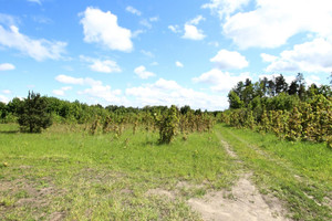 Działka na sprzedaż 22500m2 gdański Trąbki Wielkie Czerniewo - zdjęcie 1