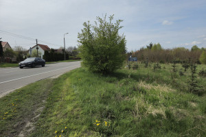 Działka na sprzedaż 19500m2 chojnicki Czersk - zdjęcie 4