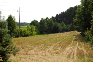 Działka na sprzedaż 26200m2 starogardzki Osiek Skórzenno - zdjęcie 1