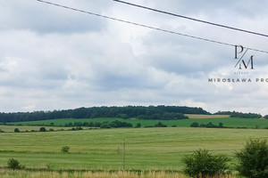 Działka na sprzedaż 1300m2 dzierżoniowski Łagiewniki Przystronie - zdjęcie 2