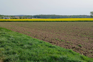 Działka na sprzedaż 2500m2 jaworski Mściwojów - zdjęcie 3