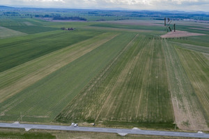 Działka na sprzedaż 4996m2 średzki Kostomłoty Jenkowice - zdjęcie 2