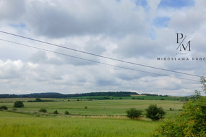 Działka na sprzedaż 1300m2 dzierżoniowski Łagiewniki Przystronie - zdjęcie 1