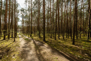 Działka na sprzedaż 2525m2 miński Sulejówek Jana Iii Sobieskiego - zdjęcie 1