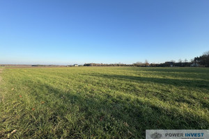 Działka na sprzedaż 19500m2 żyrardowski Mszczonów Powązki - zdjęcie 2