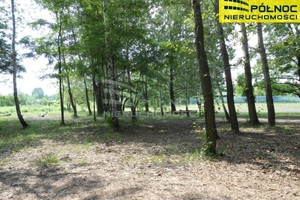 Działka na sprzedaż 5715m2 Sosnowiec Niwka - zdjęcie 2