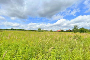 Działka na sprzedaż 9000m2 wrocławski Długołęka Bielawa Zawilcowa - zdjęcie 3