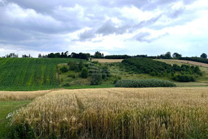 Działka na sprzedaż 4830m2 miechowski Charsznica Podlesice - zdjęcie 3